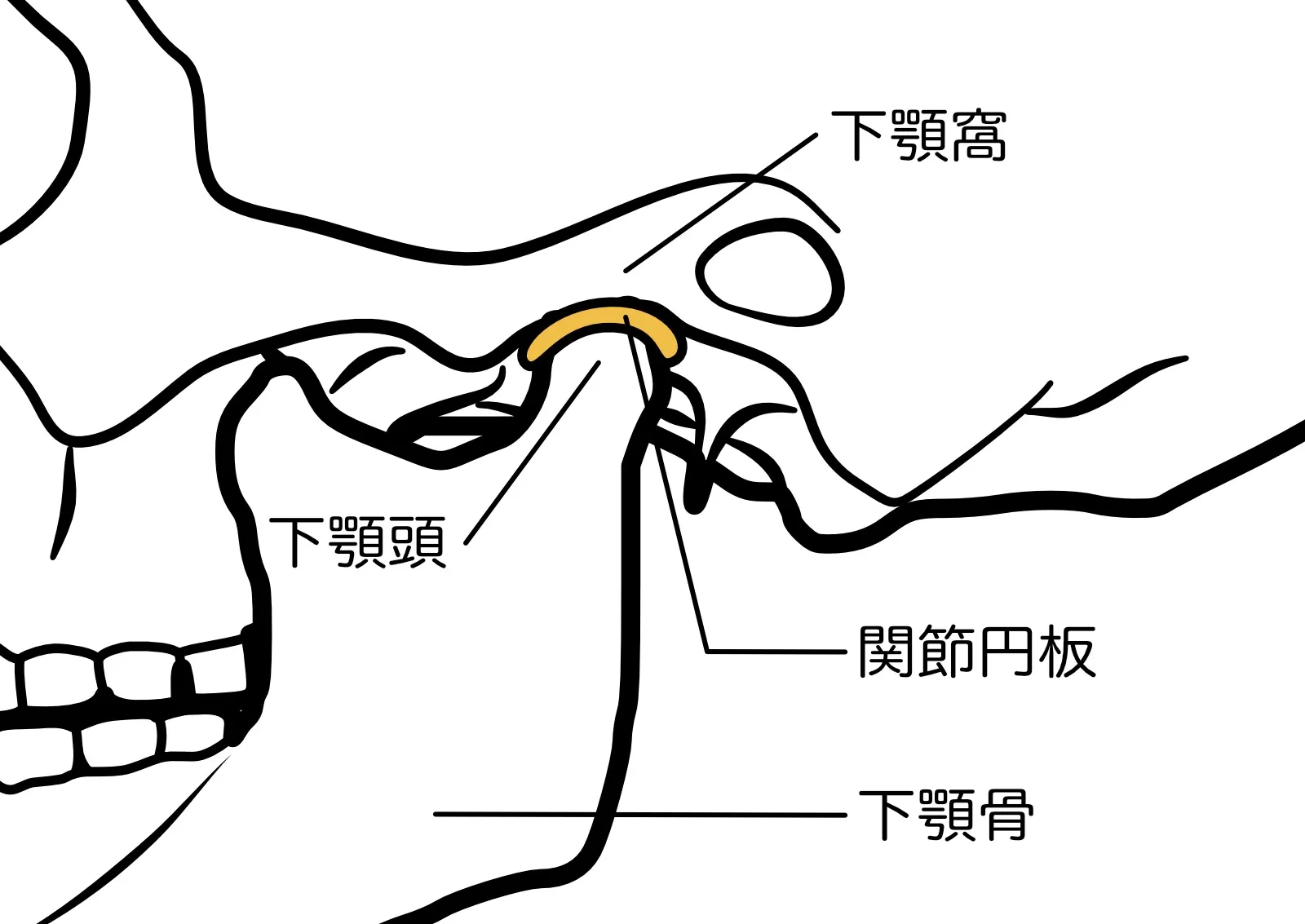 姫路【顎関節症】噛めない、歯が痛いとお悩みの方へ｜姫路 鍼灸・整骨 つなぐ